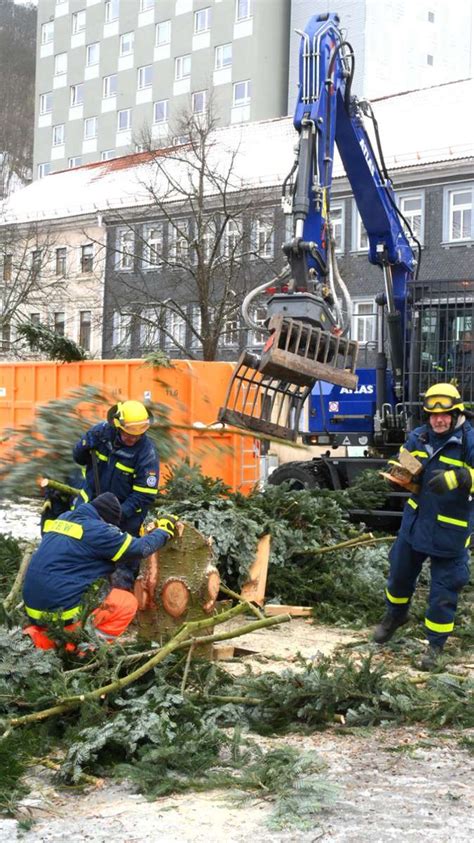 Weihnachtsb Ume Ab Jetzt Wieder Ohne Suhl Zella Mehlis Ins Dth Ringen