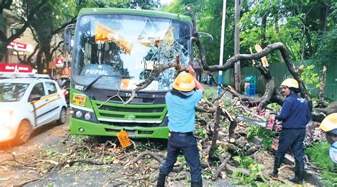 Narrow Escape For 40 Passengers As Branch Falls On Pmpml Bus Driver