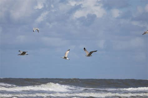 photograpy      photograpy stock  hd