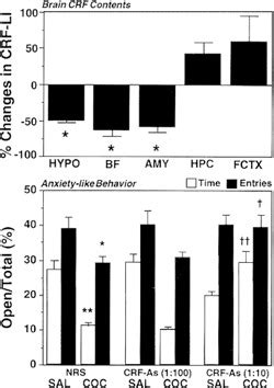 Effects of cocaine withdrawal on brain CRF concentrations and effects ...