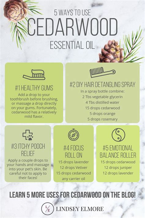 An Info Sheet Describing How To Use Cedarwood Essential Oil For Hair And Body Care