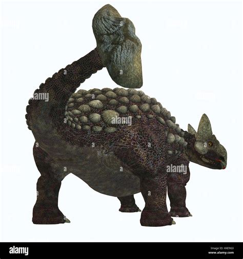 Ankylosaurus Fue Un Dinosaurio Acorazado Herbívoro Que Vivió En América