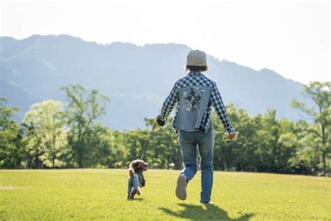 犬の散歩｜時間・回数の目安や必要なグッズ、マナーを紹介 子犬・子猫探しなら【petmi】