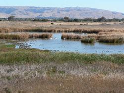 Coyote Hills Visitor Center | East Bay Parks