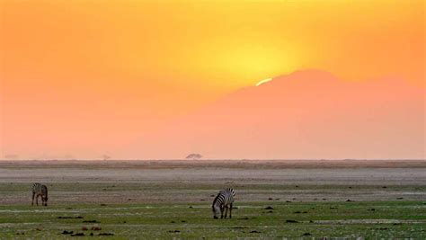 Parque Nacional De Amboseli Safaris En Kenia Samaki Safaris