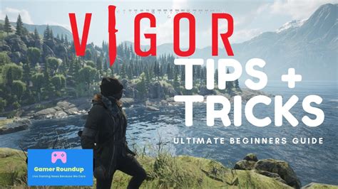 Beginners Guide Top Vigor Tips Youtube