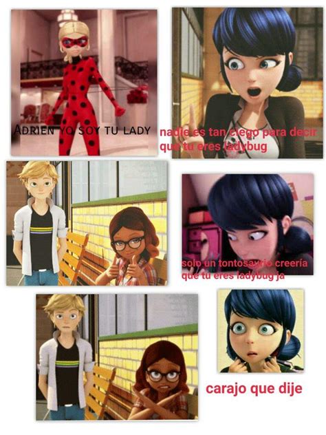 Miraculous Memes Miraculous Ladybug Amino Images