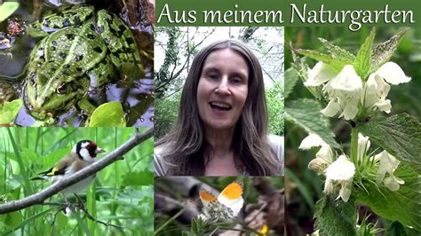 Aus Meinem Naturgarten Youtube