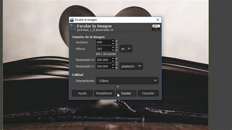 Curso Gimp B Sico Actividad Redimensionar Una Imagen V Youtube
