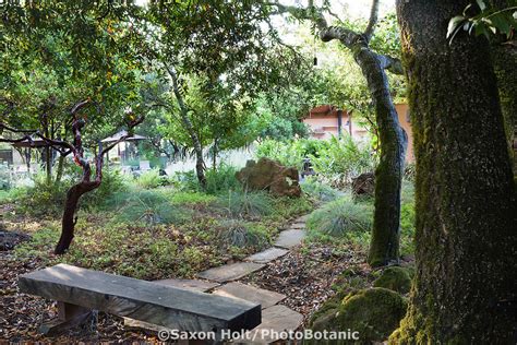 Holt 992 0150 CR2 PhotoBotanic Stock Photography Garden Library