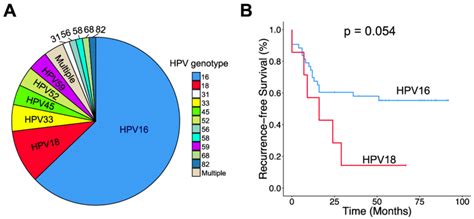 Hpv Genotype Distribution And Association With Crt Outcome A Hpv