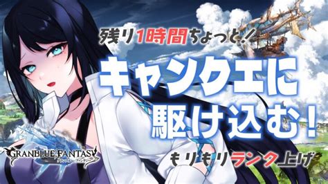 🔴【グラブル 雑談】騎空士生活2日目 🌙 残り1時間ちょっとのキャンペーンクエストに駆け込む🐻【グランブルーファンタジー