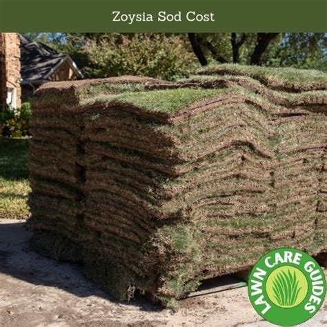 How Much Does Sod Cost The Complete Sod Buyer Guide Lawn Care