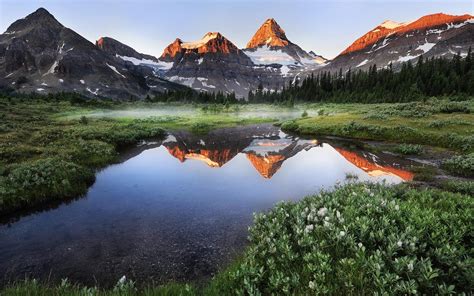 Meadow Mountains Wallpapers Wallpaper Cave