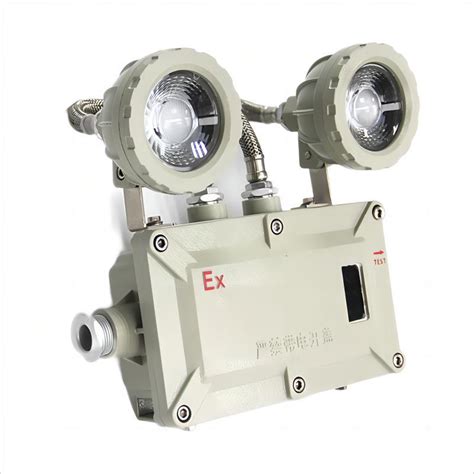 W Atex Rechargeable Two Head Exit Light Explosion Proof Emergency