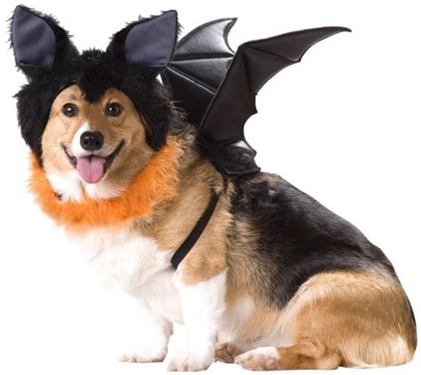 20 Absolutely Amazing Dog Halloween Costumes