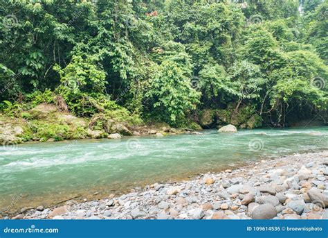 Tangkahan River, Indonesia. the Hidden Paradise in Sumatera Stock Photo ...