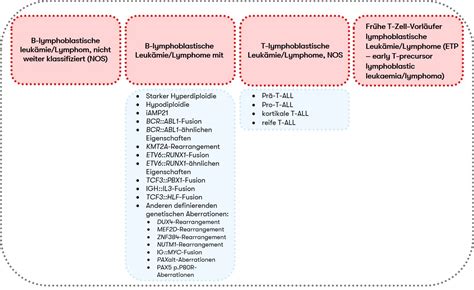 Diagnostik bei akuter lymphatischer Leukämie ALL MLL