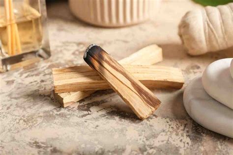 Palo santo cos è e quali sono i benefici per il corpo e la mente