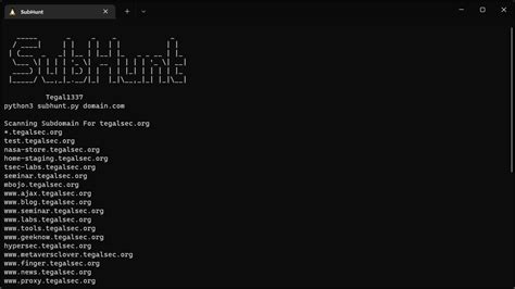 GitHub Tegal1337 SubHunt Subdomain Scanner