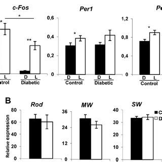 Relative Light Induced C Fos Per And Per Mrna Levels In The Scn And