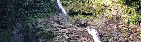 Le Saut De Bras De Fort Basse Terre Guadeloupe Alltrails