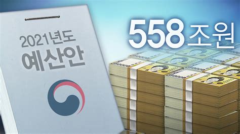 여야 내년 예산안 극적 타결재난지원금 3조원 반영 연합뉴스