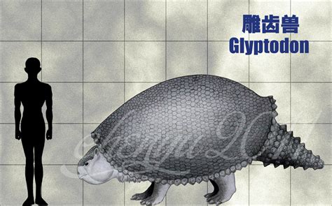 Glyptodon by sinammonite on DeviantArt