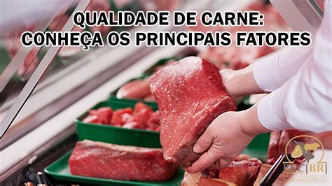 Os Fatores Da Qualidade De Carne Youtube