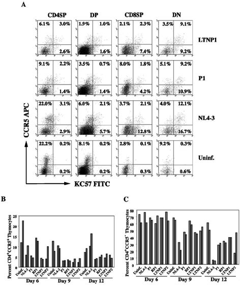 Depletion Of Ccr And Ccr Thymocytes And Down Modulation Of Cd