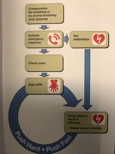 BLS For Healthcare Providers Quick Reference Flashcards Quizlet