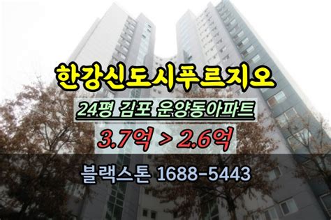 운양동 한강신도시푸르지오 경매 24평 김포시아파트 3억대 네이버 블로그