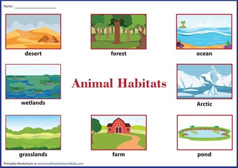 animal habitat.pdf