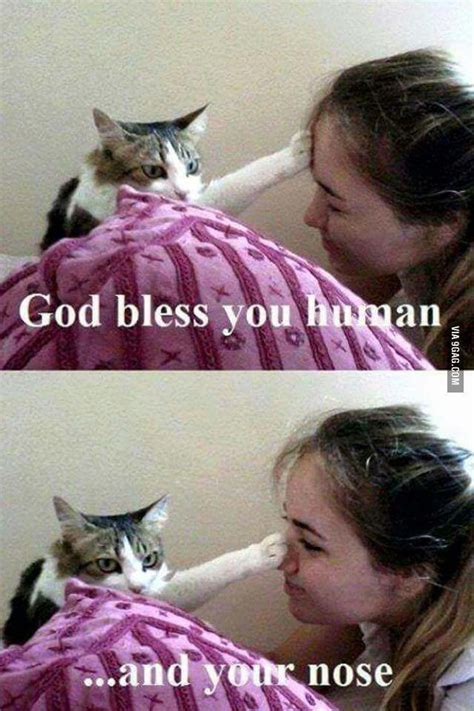 Bless you human - Animals | Funny animals, Funny animal memes, Funny ...