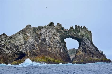 Recorrido por las Islas Farallón Viajeros Ocultos