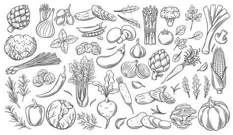 Premium Vector Vegetables Outline Vector Icons Set Monochrome