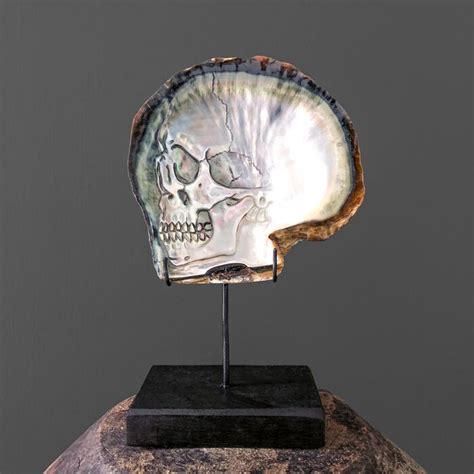 Beautiful Hand Carved Mother Of Pearl Shell Human Skull Catawiki