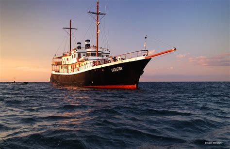 Evolution Galapagos Cruise Ship Birdwatching And Galapagos