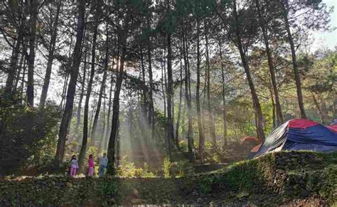 16 Tempat Camping Terbaik Di Bogor Fasilitas And Pemandangan Juara