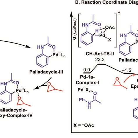 A Proposed Catalytic Cycle B Dft Reaction Coordinate Diagram For