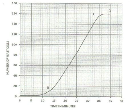 The Graph Below Represents The Increase In The Number Of Yeast Cells Over A Period Of 48 Minutes