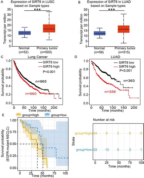 Sirt Expression Is Upregulated In Nsclc Tissues And Sirt