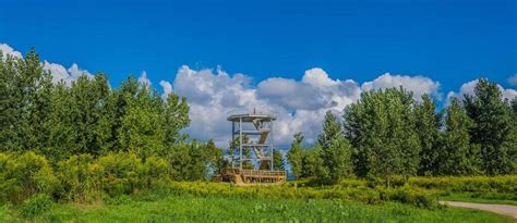 Lake Metroparks Opens 50 Foot Coastal Observation Tower At Lake Erie