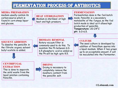 Fermentation Process Of Antibiotics Labmonk