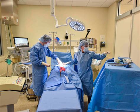 operating room school  nursing