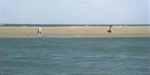 Brooke Shields Gratuitous Nude Scene Tnaflix