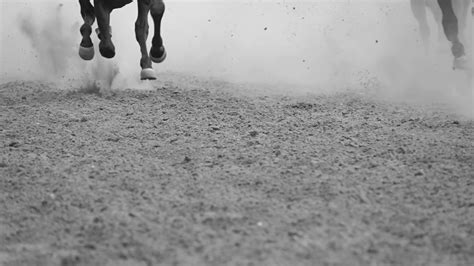 Legs Of Horses Galloping Slow Motion Stock Footage SBV-326906093 - Storyblocks