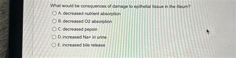 Solved What Would Be Consquences Of Damage To Epithelial Chegg