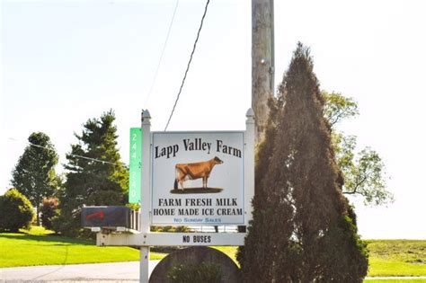 Lapp Valley Farms 169 Photos And 110 Reviews 244 Mentzer Rd New