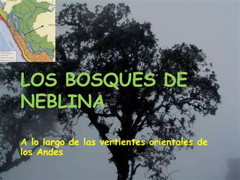 Biodiversidad En El Perú Ecorregiones Pptx